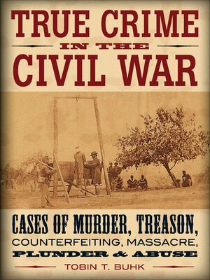 cover image of True Crime in the Civil War